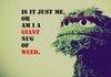 Is It Me Or.