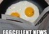 Eggcellent