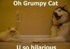 Happy Bad Joke Day 3