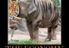The Economy