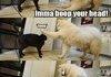 Boop