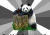 Pick Up Panda