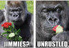 Jimmies.