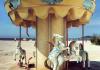 Merry Go Round