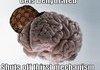 Scumbag Brain
