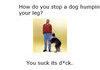 Humping dog