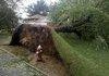 Hurricane Irene