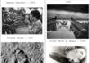 Iconic Pictures of the World!
