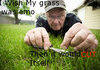 Good Grass