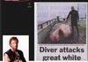 Chuck and Diver