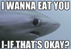 Nervous shark