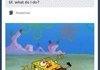 Oh spongebob.