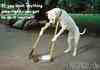 Cleaning up after yourself