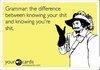 for all the grammar nazi's