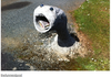 This is awesome