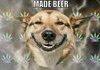 In Weed, We Trust