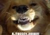 Awesome Dog