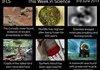 This week in Science