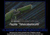 Anime Mot Posters 628