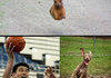 WELL TIMED PHOTOS PART 4