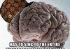 Douchebag Brain
