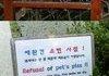 engrish comp