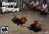 Angry Birds In Mexico