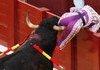 Surprise buttsex bull!