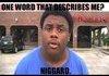 Angry Niggard