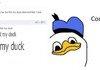 Fist my Duck