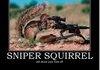 snipers