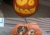 Pumpkin on Meth