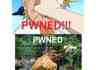 Collection of Pwnage