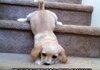 Cute or Sad?