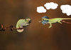 the creation of Adam... the lizard...