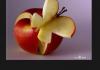 playing with food