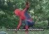 Spiderman's Heroic Entrances Need Work