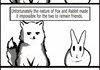 rabbit and fox