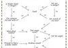 Gandalfs flowchart