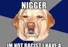 Racist Dog.