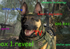 cawl a doody top dawg