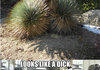 you know you have a dirty mind when