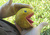 WTF? Live Pacman?