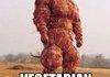Meat Armor