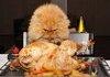 Your Offerings Do Not Appease Me