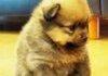 D'awwwwww