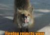 Firefox