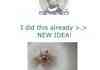 Internet Originality