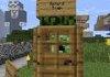 FJ Minecraft Server