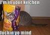 what the..